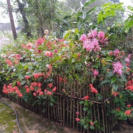 Meikha Homestay Pynursla エクステリア 写真