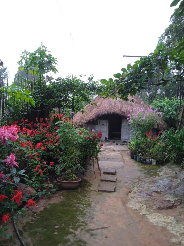 Meikha Homestay Pynursla エクステリア 写真